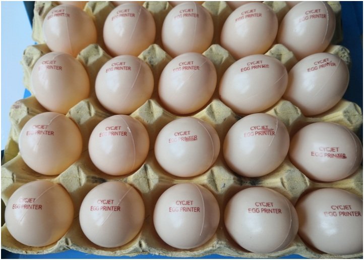 Egg Coding Machine – The Difference between Inkjet Printer and Laser Printer!