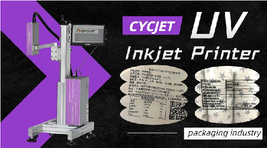 UV inkjet printer: a new choice for printing ingredients on food packaging bags