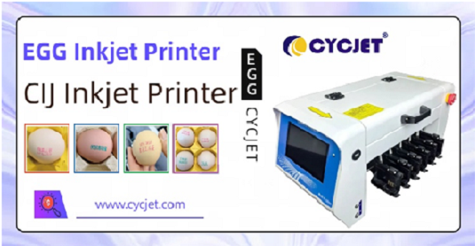 Egg inkjet printer, CYCJET small character inkjet printer for easy coding